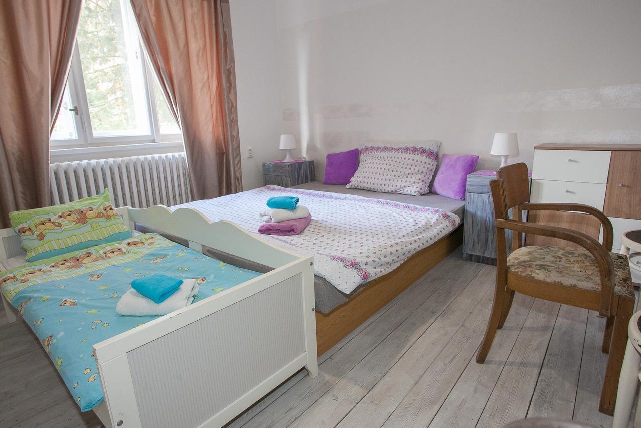 Vila Sazava Sázava Exterior foto