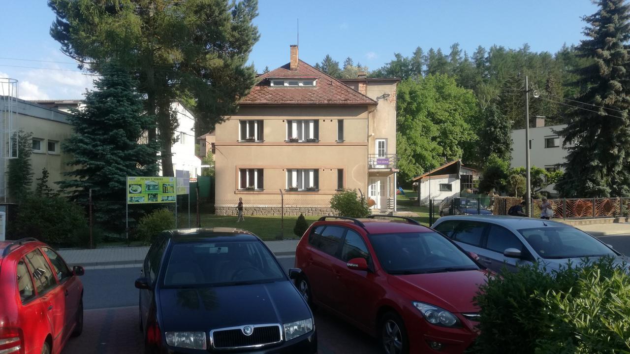 Vila Sazava Sázava Exterior foto